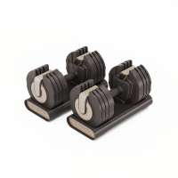 Adjustable Dumbbells Centr Smart Stack 50 (2 x 22,5 kg)