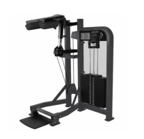 Hammer Strength Select Standing Calf