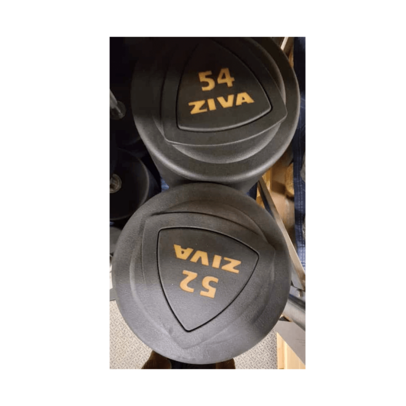 Solid Steel Rubber Dumbell Set 52-60kg (10gb / 560kg)