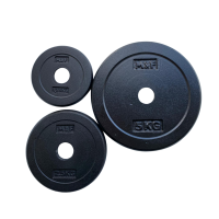SN cast iron disc, 30 mm, different weights SN cast iron disc, 30 mm, different weights