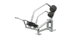 IVE Biceps IVE Biceps