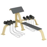 Scott Bench with dumbbells and bench Scott Bench with dumbbells and bench